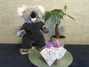 Kori the Koala