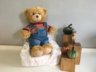 Quinn — bear of the month