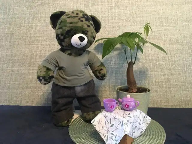 A picture of Raff