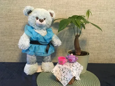 Ursula — bear of the month